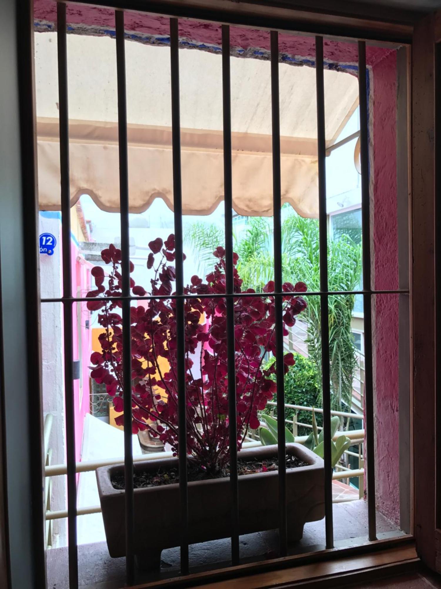 Hotel Malinalli Huamantla Esterno foto
